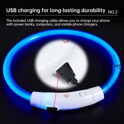 LED Fiber Optic Dog Collar - Multi-Color PVC, USB Rechargeable, Night Safety (S/M/L Sizes)