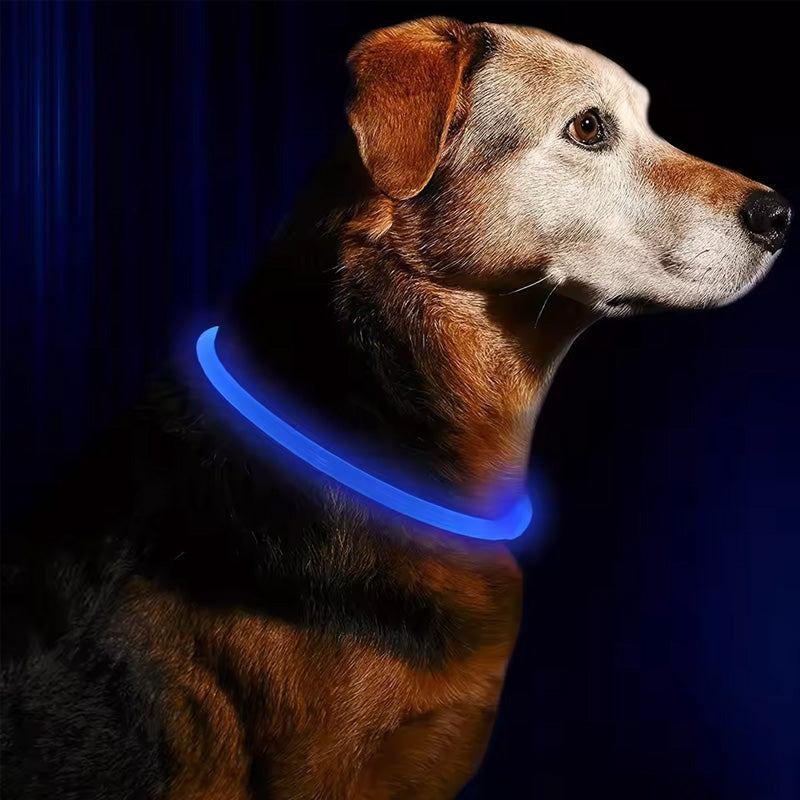 LED Fiber Optic Dog Collar - Multi-Color PVC, USB Rechargeable, Night Safety (S/M/L Sizes)