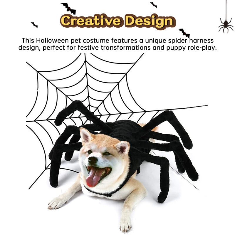 Spider Back Design Pet Halloween Costume – Fits Cats, Small/Medium Dogs & Puppies