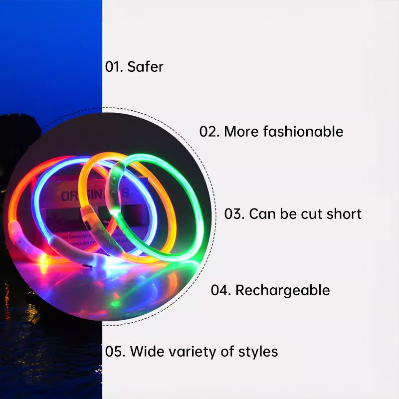 LED Fiber Optic Dog Collar - Multi-Color PVC, USB Rechargeable, Night Safety (S/M/L Sizes)