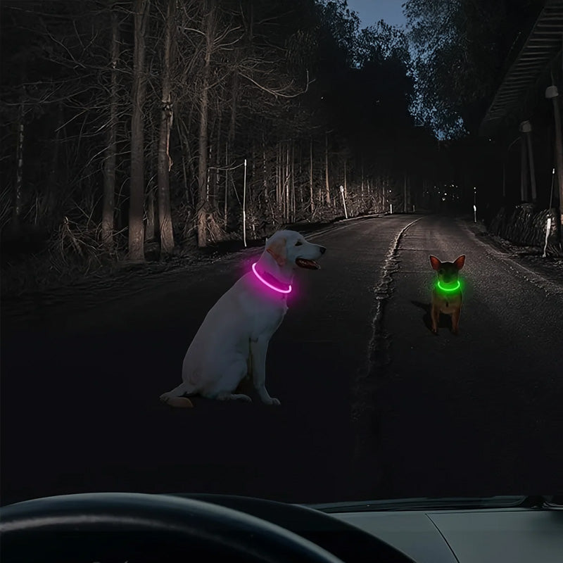 LED Fiber Optic Dog Collar - Multi-Color PVC, USB Rechargeable, Night Safety (S/M/L Sizes)